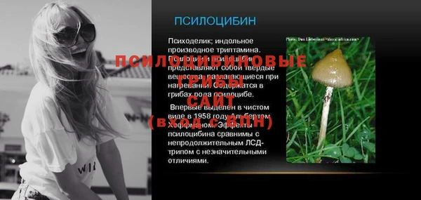 эйфоретик Рославль